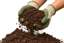 Topsoil